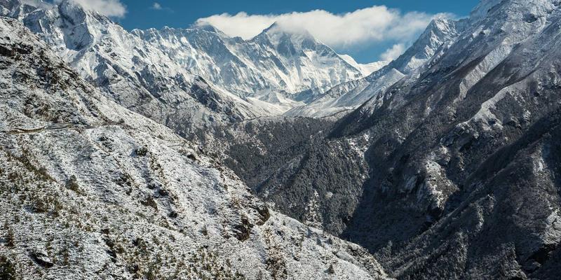 从田间到指尖：袁创农业如何用VR农场漫游重塑有机食品信任体系